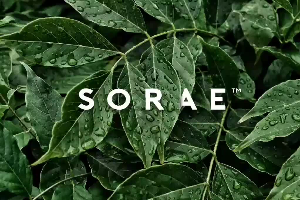 SORAE